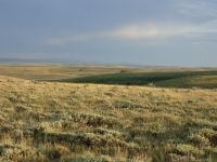 Evening in the Great Basin